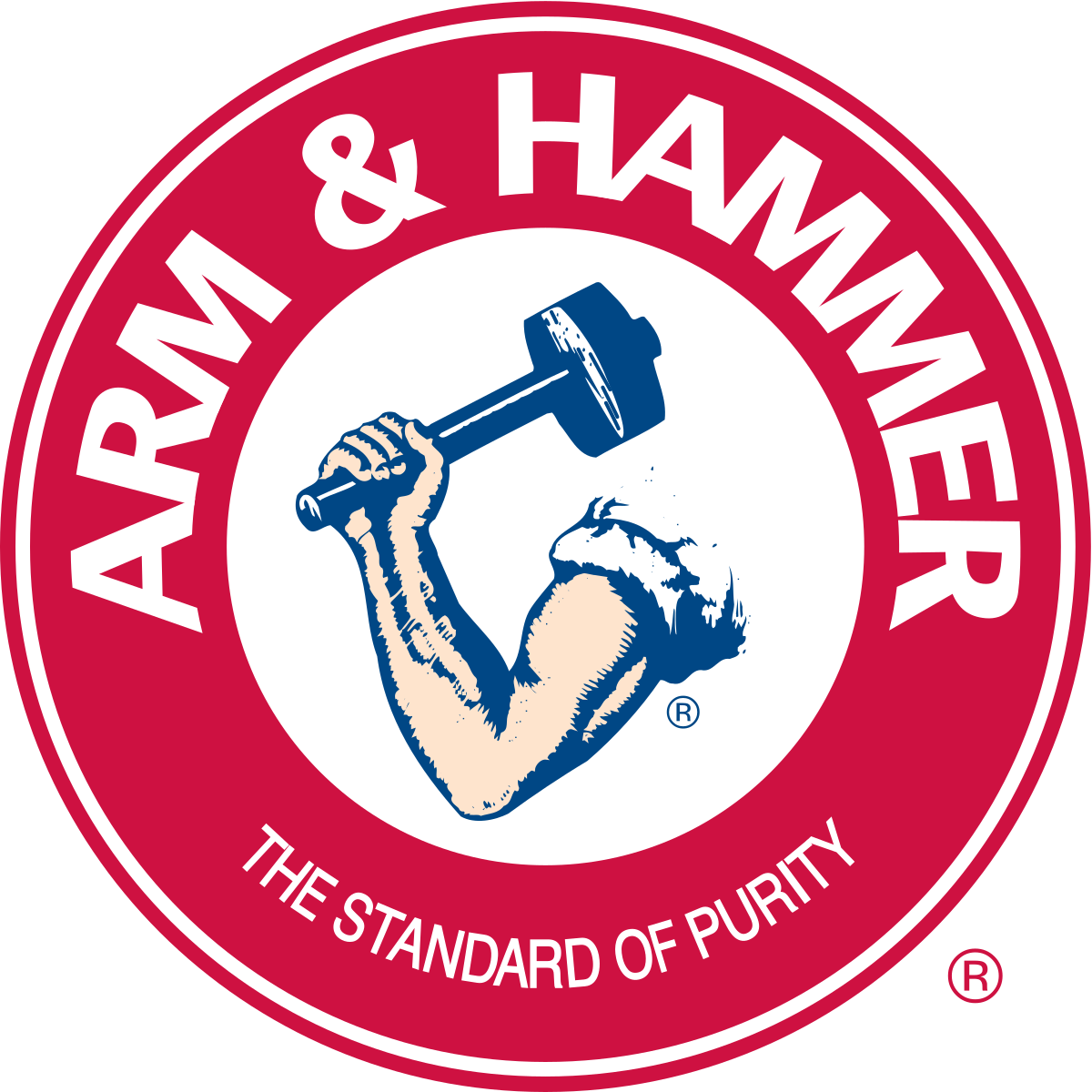 Arm & Hammer Baking Soda 2.7 lb Bag