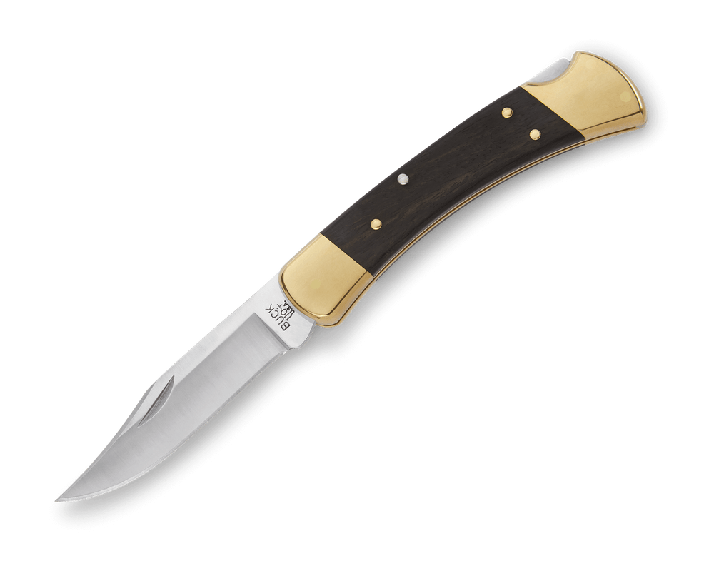Buck Knives 110 Folding Hunter